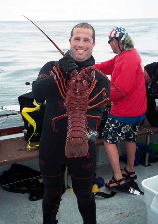 Nice 9.5 pound lobster
