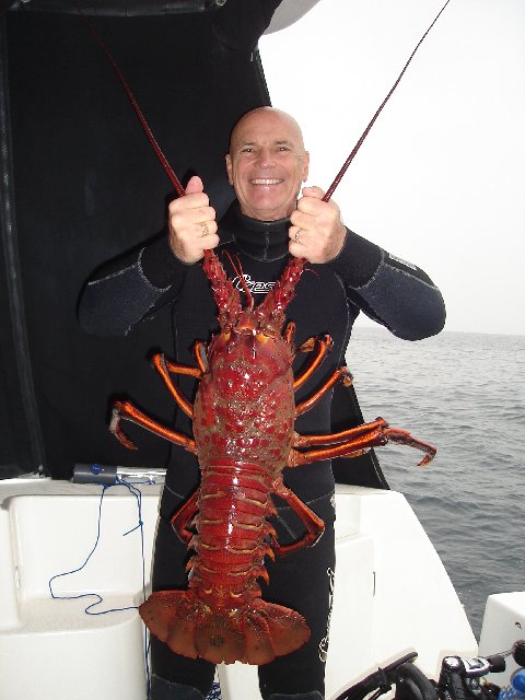 12.5 pound lobster