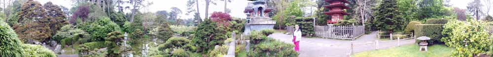 San Francisco Japanese Tea Garden In Golden Gate Park